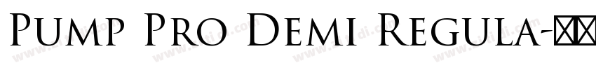Pump Pro Demi Regula字体转换